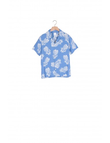 Chemise imprimée hawaïenne offre 